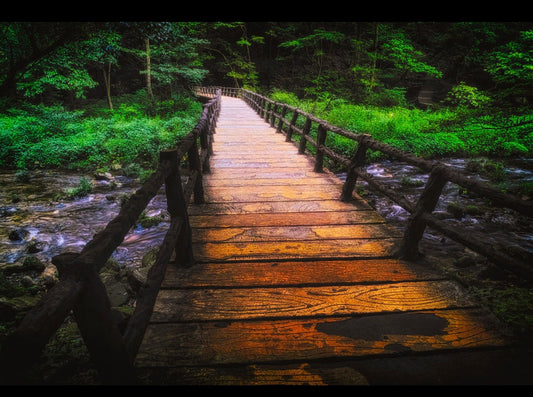 Bridge over a creek digital art